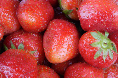 Similar image 21420767