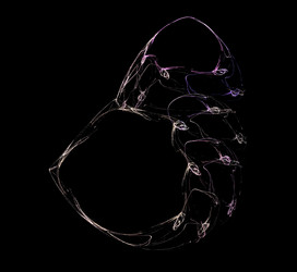 Similar image 21416045