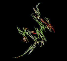 Similar image 21420573