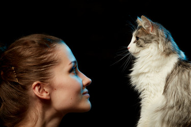 Similar image 21394492