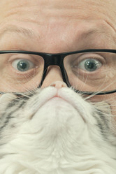 Similar image 21394822