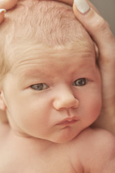 Similar image 21394835