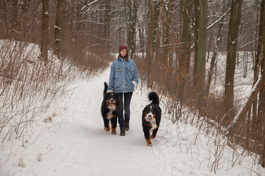 Similar image 21395003