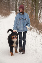 Similar image 21395005