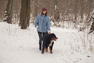 Similar image 21395009