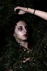 Similar image 21395044