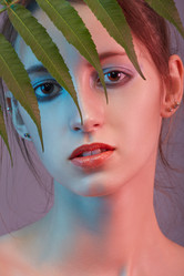 Similar image 21395058