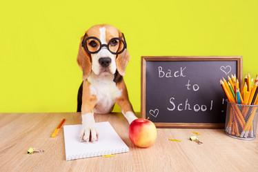 Similar image 21406928