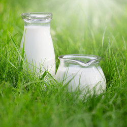 Similar image 21424940