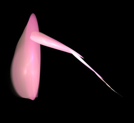 Similar image 21415068