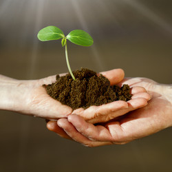 Similar image 21424945