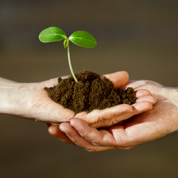 Similar image 21424379