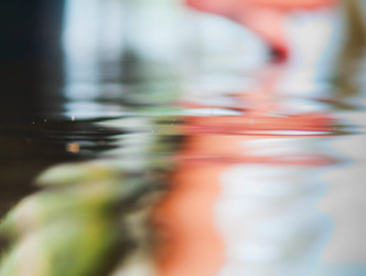 Similar image 21424421