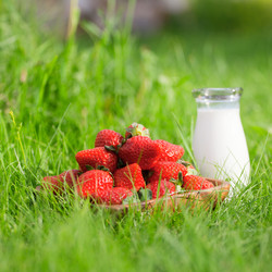 Similar image 21424954