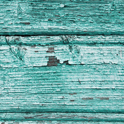 Similar image 21424504