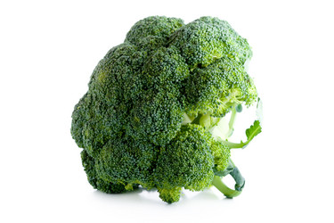 Similar image 21424524