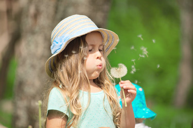 Similar image 21424531