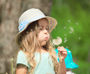 Similar image 21424533