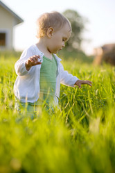 Similar image 21424549