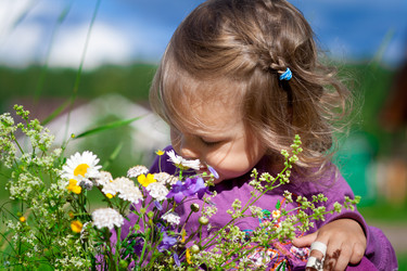 Similar image 21424583