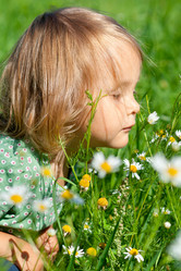 Similar image 21424599