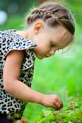 Similar image 21424611