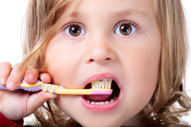 Similar image 21424992