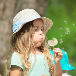 Similar image 21424998