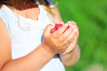 Similar image 21424674