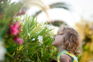 Similar image 21424687