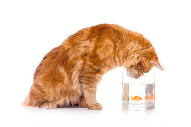 Similar image 21424698