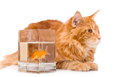 Similar image 21424700