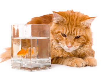 Similar image 21424701