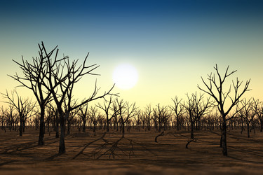 Similar image 21395105