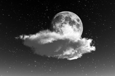 Similar image 21395072