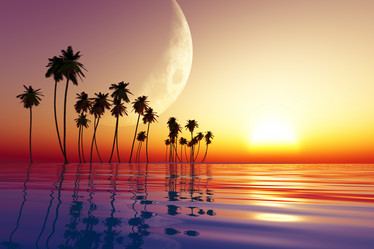 Similar image 21395085