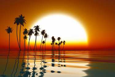 Similar image 21395087