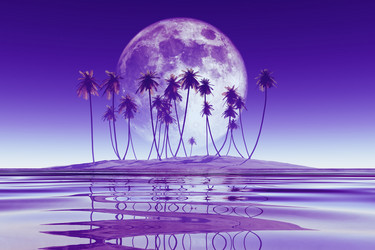 Similar image 21395089