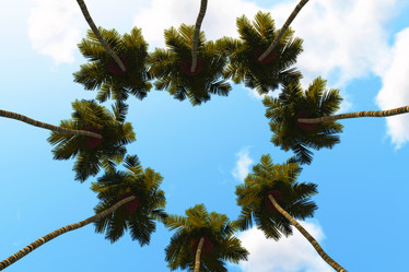 Similar image 21395136