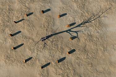 Similar image 21395204