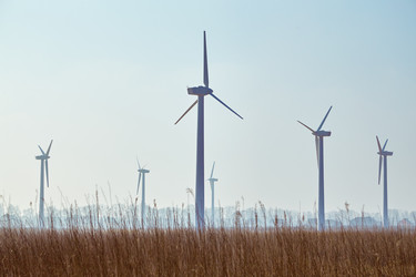 Similar image 21395226