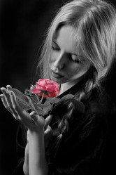 Similar image 21395259