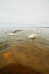 Similar image 21395350