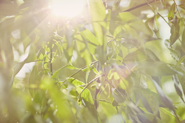 Similar image 21396459