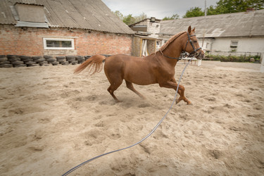 Similar image 21395457