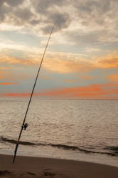 Similar image 21395462