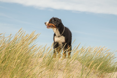 Similar image 21395685