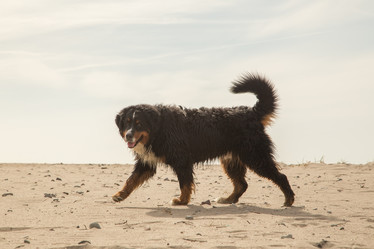 Similar image 21395687