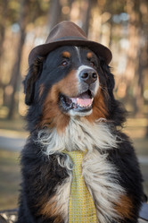 Similar image 21395956