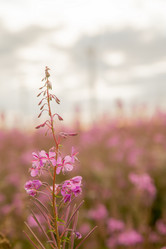 Similar image 21396226